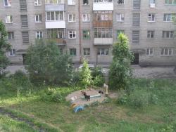 post-5029-0-60004800-1309088658_thumb.jp