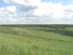 post-5029-0-78151000-1308488761_thumb.jp