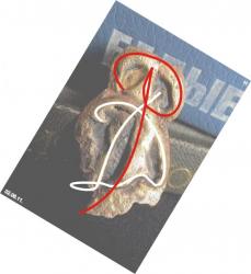 post-5029-0-82229200-1307547758_thumb.jp