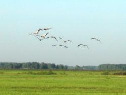 post-5061-0-52539200-1306928690_thumb.jp