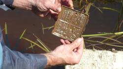 post-5580-0-47797700-1308325444_thumb.jp