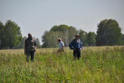 post-6129-0-54970300-1308624845_thumb.jp