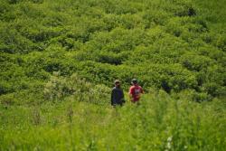 post-6129-0-55832600-1308624935_thumb.jp