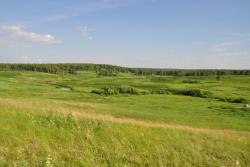 post-6129-0-81639600-1308626030_thumb.jp