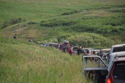 post-6129-0-86662000-1308624828_thumb.jp