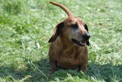 post-6129-0-91452400-1308625241_thumb.jp