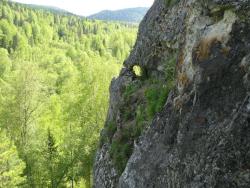 post-6342-0-05968200-1307173485_thumb.jp