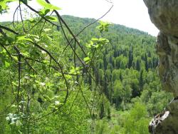 post-6342-0-14244700-1307173740_thumb.jp