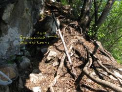 post-6342-0-72200500-1307170143_thumb.jp