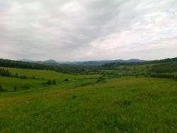 post-6685-0-15375800-1308297034_thumb.jp