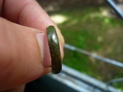 post-6691-0-56356900-1308728861_thumb.jp