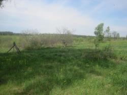 post-6979-0-32362500-1307131624_thumb.jp