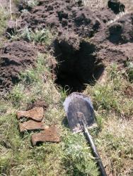 post-1023-0-40900900-1340381541_thumb.jp