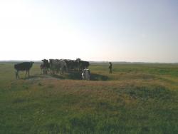 post-1023-0-54216300-1340381655_thumb.jp