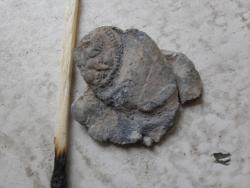 post-11324-0-27474500-1340964136_thumb.j