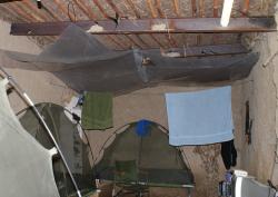 post-11611-0-15026600-1339156284_thumb.j