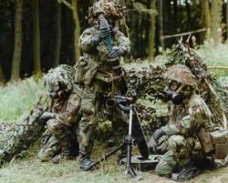 post-11611-0-71048000-1340781522_thumb.j