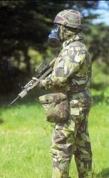 post-11611-0-86393400-1340781519_thumb.j