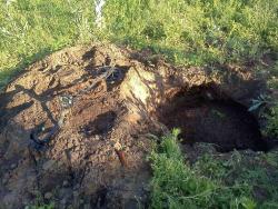 post-11879-0-11149900-1339592363_thumb.j