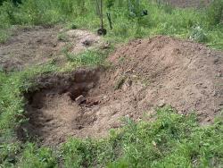 post-11879-0-93841900-1339592533_thumb.j