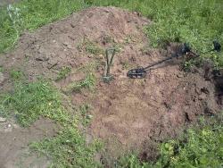 post-11879-0-99336100-1339592454_thumb.j