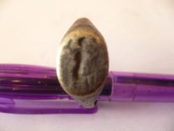 post-12193-0-81998600-1338815710_thumb.j