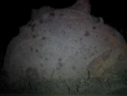 post-12322-0-82649900-1339592303_thumb.j