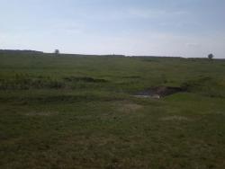 post-1580-0-82927500-1338908505_thumb.jp