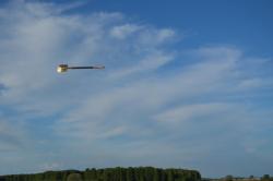 post-1788-0-01120300-1340034803_thumb.jp