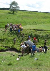 post-1788-0-84588400-1340034481_thumb.jp