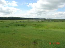 post-2202-0-38570700-1339996500_thumb.jp