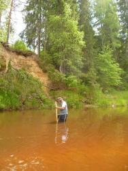 post-2838-0-12608300-1339167910_thumb.jp