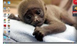 post-2838-0-41976000-1340629615_thumb.jp