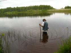 post-2838-0-86294000-1339254621_thumb.jp