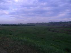 post-3295-0-00012700-1339773418_thumb.jp