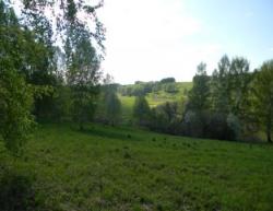 post-3295-0-00343100-1339771217_thumb.jp