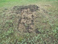 post-3295-0-24268200-1339935739_thumb.jp