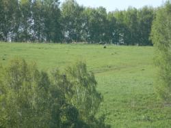 post-3295-0-38571600-1339771352_thumb.jp