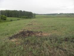 post-3295-0-50253900-1339937153_thumb.jp