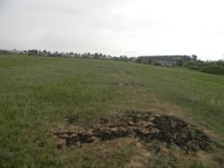 post-3295-0-76430800-1339937625_thumb.jp