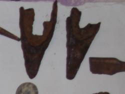 post-3939-0-45075500-1338830758_thumb.jp