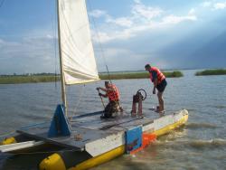 post-4269-0-09934300-1339462710_thumb.jp