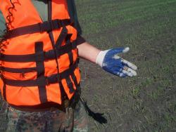 post-4269-0-10935800-1339663070_thumb.jp