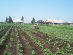 post-4269-0-13021400-1340274923_thumb.jp