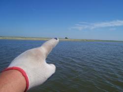 post-4269-0-25758100-1339662098_thumb.jp