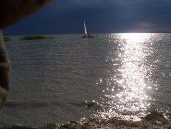 post-4269-0-27713600-1339462497_thumb.jp