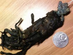 post-4269-0-29380500-1339142821_thumb.jp