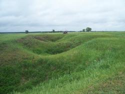 post-4269-0-30044100-1339116063_thumb.jp