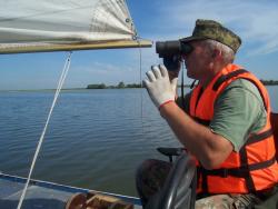 post-4269-0-31861600-1339661526_thumb.jp