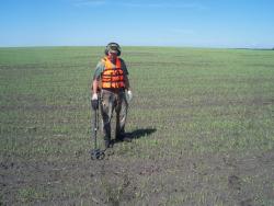 post-4269-0-42184900-1339662633_thumb.jp